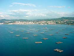 As bateas instaladas nas Rías Galegas están sometidas a un exhaustivo control.