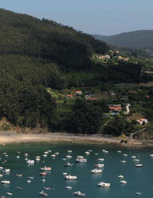 Barcos