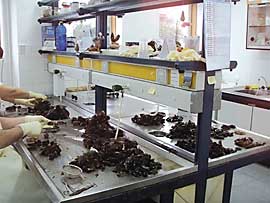 Laboratorios do INTECMAR